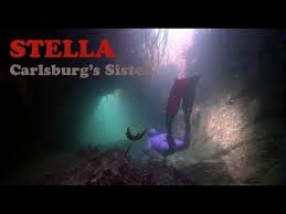 Image result for Notanx Freedive Club