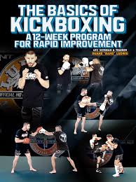 Image result for United Dojos Kickboxing