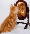 Keeping your confidence « Reiter Thinks