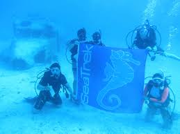 Image result for Seabug Divers