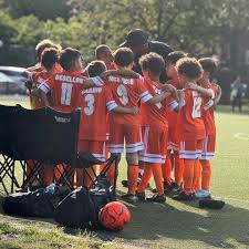 Image result for Pelham Korfball Club