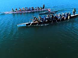Image result for Wam Dragon Boat Racing Team