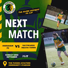Image result for Haywards Heath Town Ladies Football Club