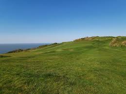 Image result for Ilfracombe Orcas Octopush Club