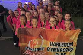 Image result for Harlequins Gymnastics Club
