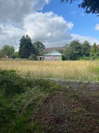 Image result for Lower Kingswood Flat Green Bowls Club