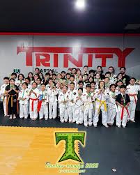 Image result for TRINITY KARATE ACADEMY