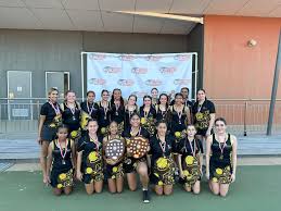Image result for Matchpoint Eagles Netball Club
