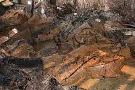 Image result for 艰苦阅历 孔泰初