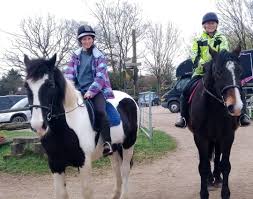 Image result for Palmers Riding Stables