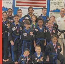 Image result for Northern Freestyle Karate Association