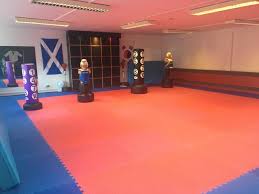 Image result for choi sul hapkido academy hapkido scotland