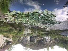 Image result for EXETER RAMBLING CLUB