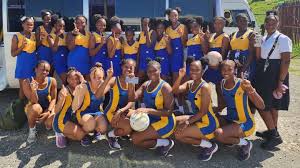Image result for Southfields Netball Club