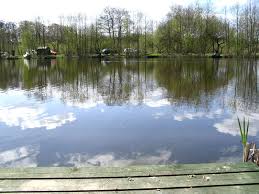 Image result for Bay Malton Angling Club