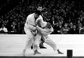 Image result for Judo Excellence
