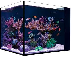 Image result for Peninsula Sub Aqua