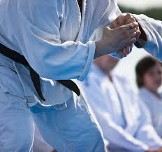 Image result for Hitchin Choi Kwang-Do