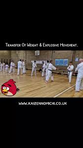 Image result for Kaizen No-Michi, Cleethorpes Karate Dojo