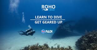 Image result for Robin Hood Dive School