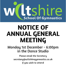 Image result for Wiltshire School Of Gymnastics