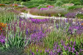 Image result for Piet Oudolf