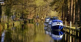 Image result for Basingstoke Canal Canoe Club