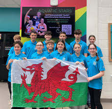 Image result for Ilfracombe Orcas Octopush Club