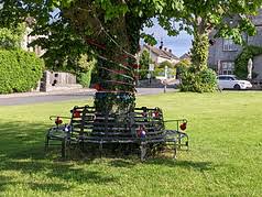 Image result for Long Sutton Bowls Club