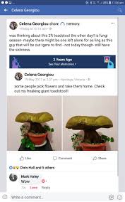 Attēlu rezultāti vaicājumam “Symphytocarpus trechisporus sessile”