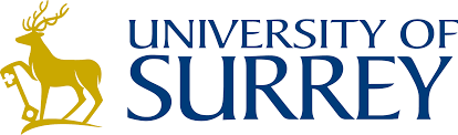 Image result for University Of Surrey