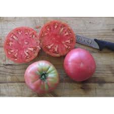 Afbeeldingsresultaat voor stump of the world tomato