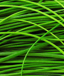 Image result for Schnittlauch