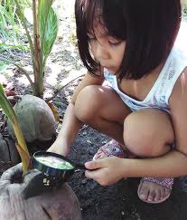 Attēlu rezultāti vaicājumam “Diderma effusum young”