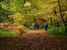 Image result for Polegate Rambling Club