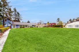 Image result for Great Yarmouth Yacht Club