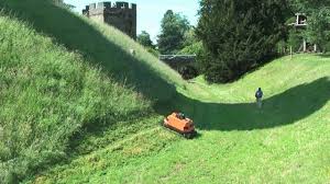 Image result for roboflail tehron