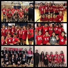Image result for Cheltenham Cobras Volleyball Club