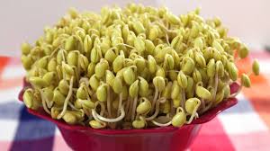 Image result for bean sprout