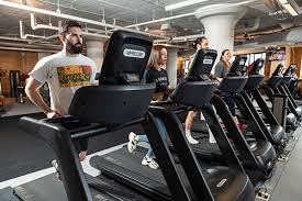 Image result for Swallows Of Helston Gym Club