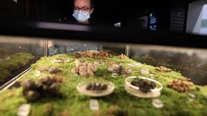 Картинки по запросу ты какашка