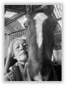 Image result for Thames Valley Riding Club