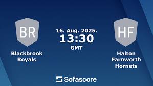 Image result for Halton Farnworth Hornets A R L F C