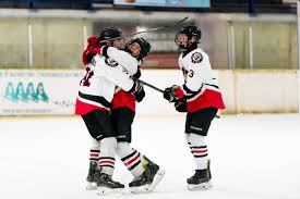 Image result for Basingstoke Bison Ice Hockey Club