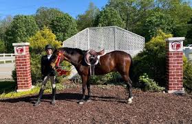 Image result for Lower Farm Stables