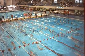 Image result for Perry Beeches Sutton Swim Squad