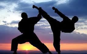 Image result for whitley karate club