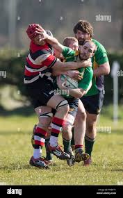 Image result for Frome Rugby Football Club