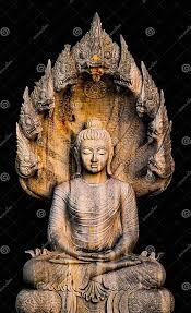 Kuvahaun tulos haulle nagas