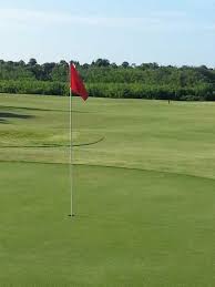 Image result for Aquarius Golf Club